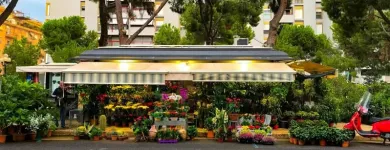 Immagine 6 azienda SPERLINGA FIORI - FIORI A DOMICILIO PALERMO Vivaio in Palermo