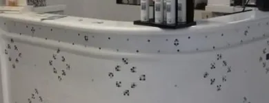 Immagine 3 azienda STEFANO PARRUCCHIERE Servizi di bellezza in Pescara