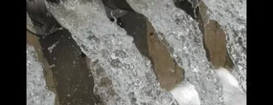 Immagine 1 azienda STUDIO CAMUS ECOLOGIA Shopping e acquisti in Guidonia Montecelio RM