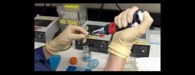 Immagine 3 azienda STUDIO CAMUS ECOLOGIA Shopping e acquisti in Guidonia Montecelio RM