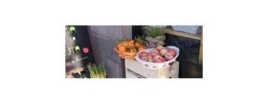 Immagine 7 azienda SUMA A LA FRUTA Shopping e acquisti in Torino