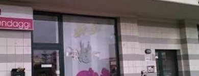 Immagine 7 azienda TENDAGGI MARCO VALLETTA Shopping e acquisti in Montesilvano PE