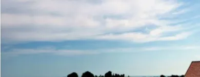 Immagine 2 azienda TENUTA DEL BARONE PENSIONE PER CANI Shopping e acquisti in Fiumicino RM