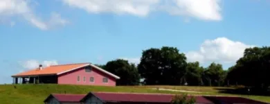 Immagine 3 azienda TENUTA DEL BARONE PENSIONE PER CANI Shopping e acquisti in Fiumicino RM