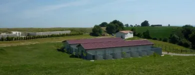 Immagine 6 azienda TENUTA DEL BARONE PENSIONE PER CANI Shopping e acquisti in Fiumicino RM