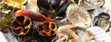 Immagine 5 azienda TENUTA TRE PICCIONI Viaggi e turismo in Pozzuoli NA