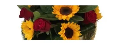 Immagine 2 azienda TINÈ FIORI SIRACUSA Shopping e acquisti in Siracusa