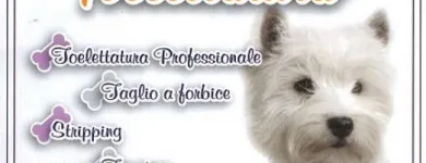 Immagine 3 azienda TOELETTATURA BEAUTIFUL PET Servizi professionali in Ardea RM