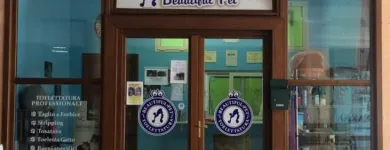 Immagine 4 azienda TOELETTATURA BEAUTIFUL PET Servizi professionali in Ardea RM
