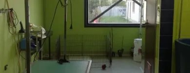 Immagine 8 azienda TOELETTATURA BEAUTIFUL PET Servizi professionali in Ardea RM