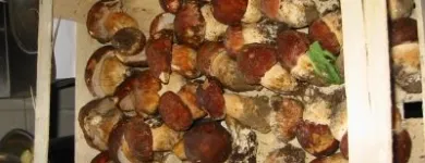 Immagine 1 azienda TRATTORIA AI DUE ORSI Viaggi e turismo in Milano