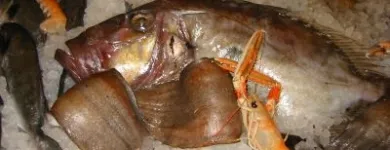 Immagine 4 azienda TRATTORIA AI DUE ORSI Viaggi e turismo in Milano