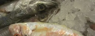 Immagine 13 azienda TRATTORIA AI DUE ORSI Viaggi e turismo in Milano