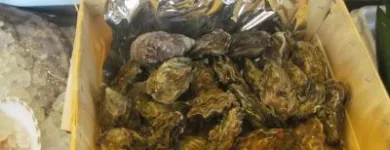 Immagine 24 azienda TRATTORIA AI DUE ORSI Viaggi e turismo in Milano