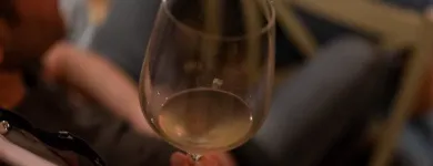 Immagine 6 azienda TRATTORIA GALLO ROSSO Ristorante in Filottrano AN