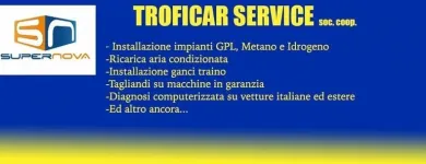 Immagine 2 azienda TROFICAR SERVICE Veicoli in Giarre CT