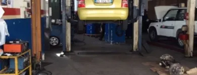 Immagine 3 azienda TROFICAR SERVICE Veicoli in Giarre CT