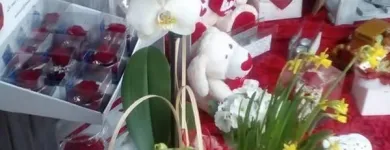 Immagine 4 azienda TROPICAL FLOWER Shopping e acquisti in Samarate VA