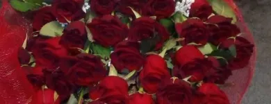 Immagine 5 azienda TROPICAL FLOWER Shopping e acquisti in Samarate VA