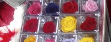 Immagine 7 azienda TROPICAL FLOWER Shopping e acquisti in Samarate VA