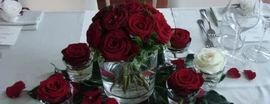 Immagine 8 azienda TROPICAL FLOWER Shopping e acquisti in Samarate VA