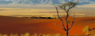 Immagine 1 azienda TURISALFA VIAGGI Viaggi e turismo in Parma