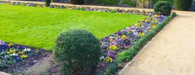 Immagine 7 azienda TUSCANIA PULIZIE Servizi professionali in Prato