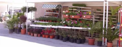 Immagine 2 azienda TUTTO PER L'AGRICOLTURA Vivaio in Rosolini SR