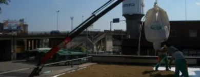 Immagine 2 azienda VAN DEN BORRE NICOLA VIVAI GIARDINAGGIO Vivaio in Ponzano Veneto TV