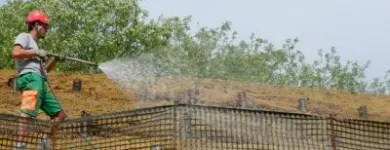 Immagine 3 azienda VAN DEN BORRE NICOLA VIVAI GIARDINAGGIO Vivaio in Ponzano Veneto TV