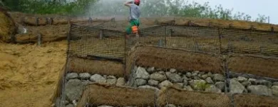 Immagine 4 azienda VAN DEN BORRE NICOLA VIVAI GIARDINAGGIO Vivaio in Ponzano Veneto TV