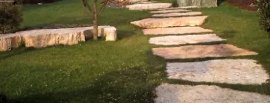 Immagine 5 azienda VAN DEN BORRE NICOLA VIVAI GIARDINAGGIO Vivaio in Ponzano Veneto TV