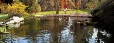 Immagine 6 azienda VAN DEN BORRE NICOLA VIVAI GIARDINAGGIO Vivaio in Ponzano Veneto TV