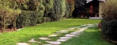 Immagine 7 azienda VAN DEN BORRE NICOLA VIVAI GIARDINAGGIO Vivaio in Ponzano Veneto TV