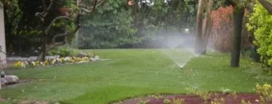 Immagine 8 azienda VAN DEN BORRE NICOLA VIVAI GIARDINAGGIO Vivaio in Ponzano Veneto TV