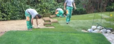Immagine 9 azienda VAN DEN BORRE NICOLA VIVAI GIARDINAGGIO Vivaio in Ponzano Veneto TV
