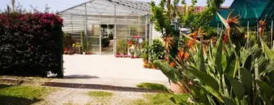 Immagine 3 azienda VERDE GARDEN SALERNO Vivaio in Salerno