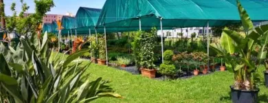 Immagine 5 azienda VERDE GARDEN SALERNO Vivaio in Salerno