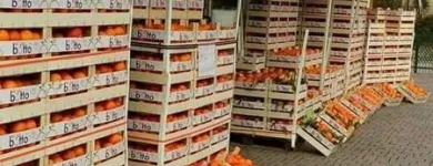 Immagine 1 azienda VERO SAPORE DI SICILIA Shopping e acquisti in Riese Pio X TV