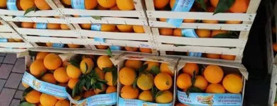 Immagine 8 azienda VERO SAPORE DI SICILIA Shopping e acquisti in Riese Pio X TV