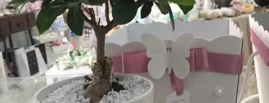 Immagine 2 azienda VIA MANZONI Stampa inviti in Frattamaggiore NA