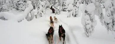 Immagine 1 azienda VIAGGI PINARELLA Viaggi e turismo in Cervia RA