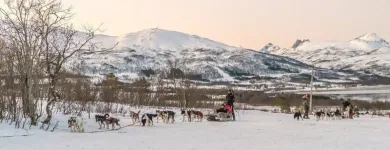 Immagine 3 azienda VIAGGI PINARELLA Viaggi e turismo in Cervia RA