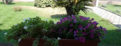 Immagine 4 azienda VILLA BENESSERE Servizi professionali in Sermoneta LT