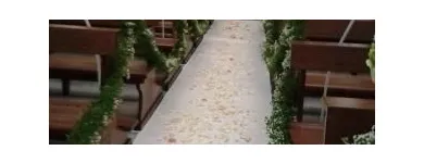 Immagine 2 azienda VITALFLOR S.N.C. Vivaio in Palermo