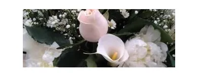 Immagine 4 azienda VITALFLOR S.N.C. Vivaio in Palermo