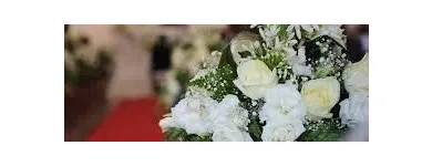 Immagine 6 azienda VITALFLOR S.N.C. Vivaio in Palermo