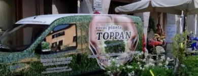 Immagine 2 azienda VIVAI TOPPAN Vivaio in Casier TV