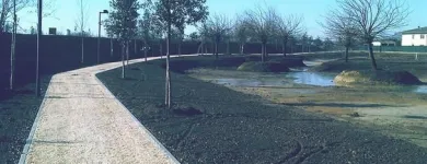 Immagine 7 azienda VIVAI TOPPAN Vivaio in Casier TV