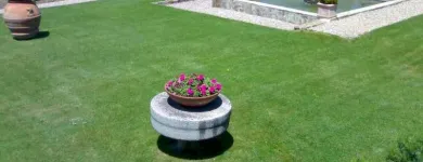 Immagine 8 azienda VIVAI TOPPAN Vivaio in Casier TV